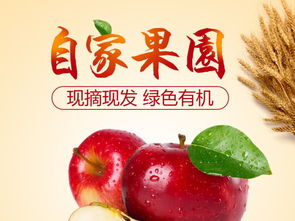 淘宝水果高点击精品直通车主图模板版——长友广告